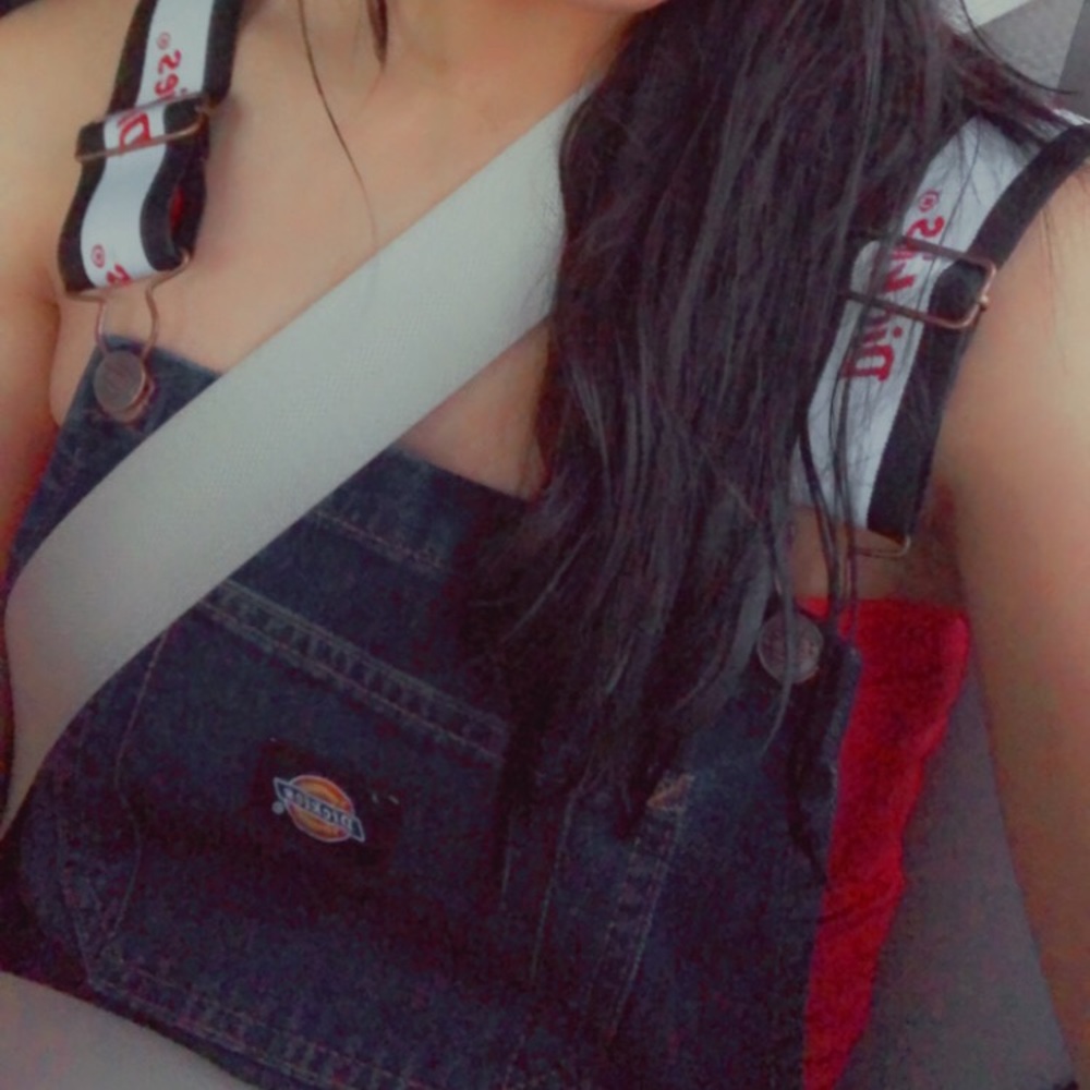 Dickies overalls